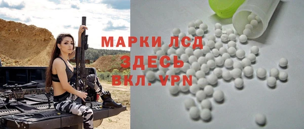 хмурый Бородино