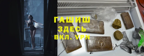 стаф Верея