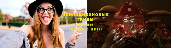 амф Бронницы