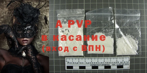 хмурый Бородино
