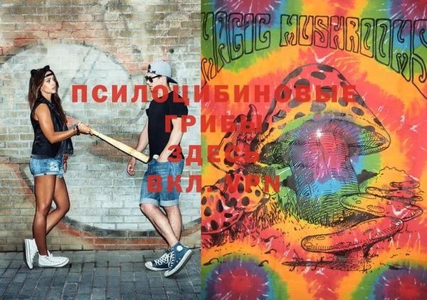 хмурый Бородино