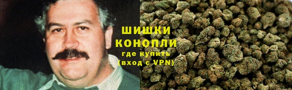 стаф Верея
