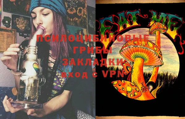 стаф Верея