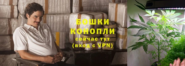 амф Бронницы
