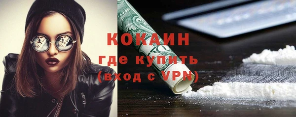 стаф Верея